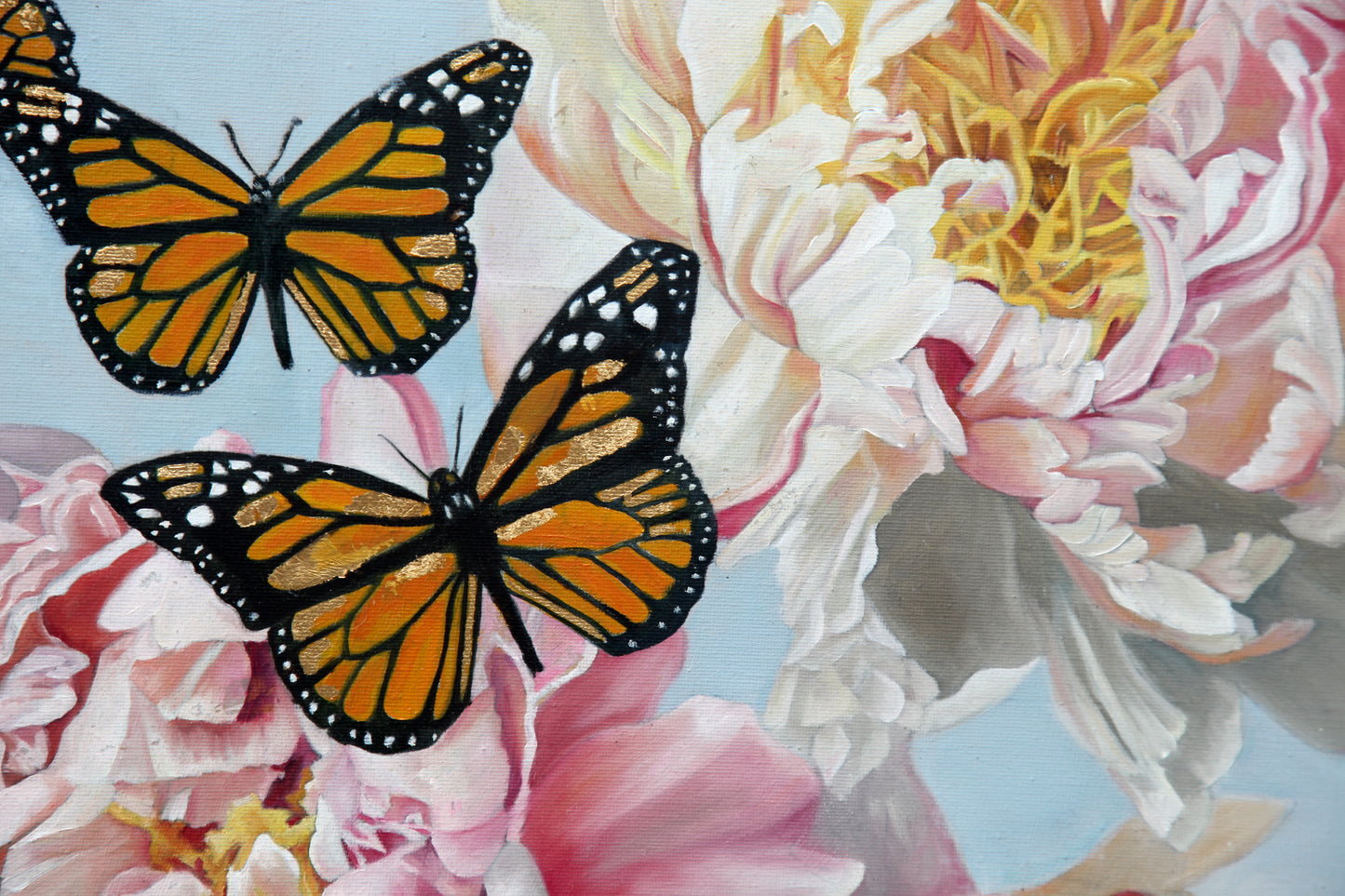 Butterflies – The Emblem of Transformation and Rebirth